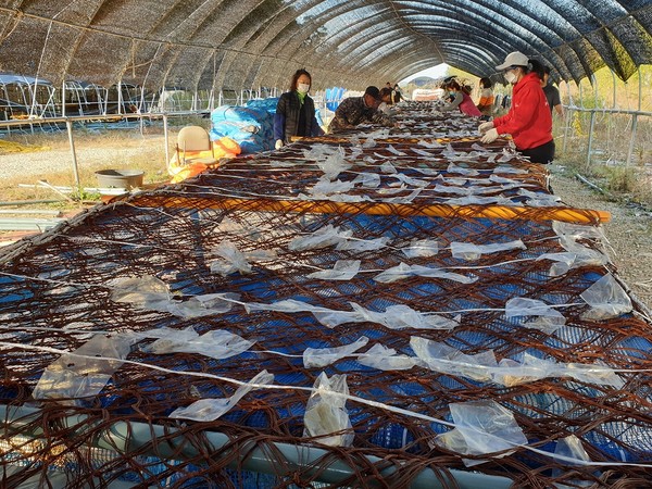 ▲ 경기도, 사고·질병으로 어업활동 어려운 어업인에게 '대체인력 비용' 지원