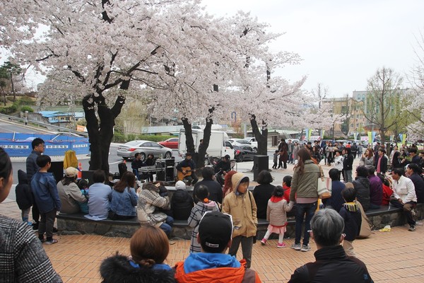 경기도는 코로나19 지역사회 전파 차단을 위해 ‘경기도청 봄꽃축제’를 전면 취소한다고 9일 밝혔다. ⓒ 뉴스피크